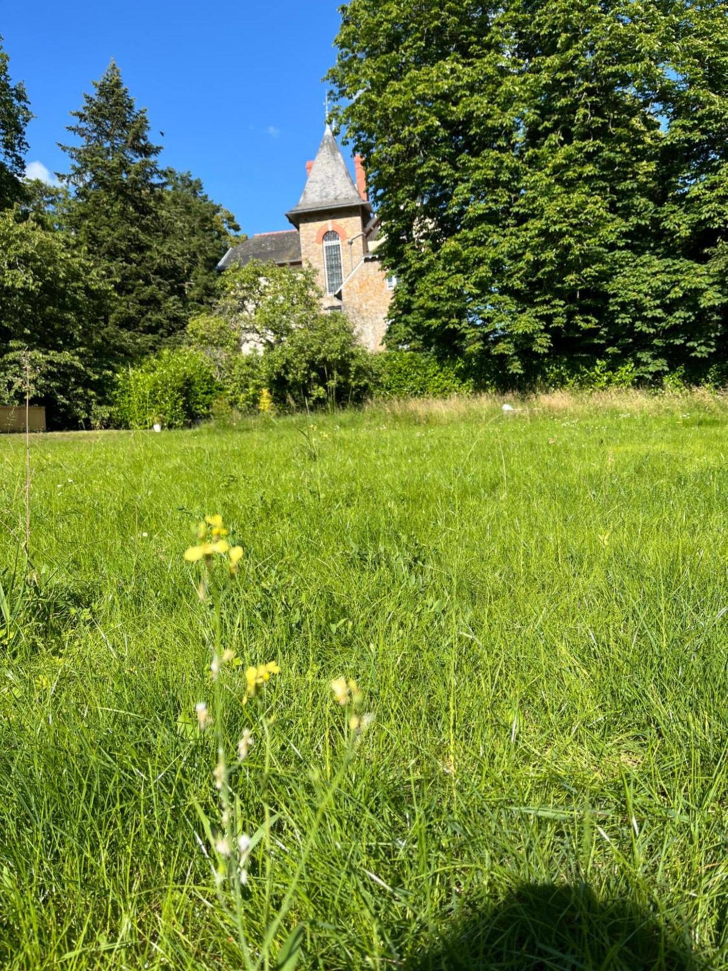 Villa Meguinelle Grand-Fougeray Buitenkant foto